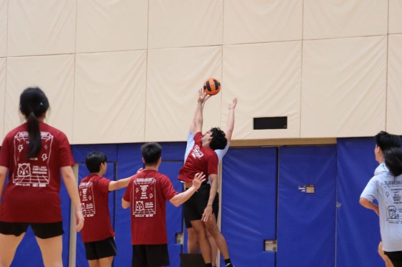 photo_6057441537651577194_y