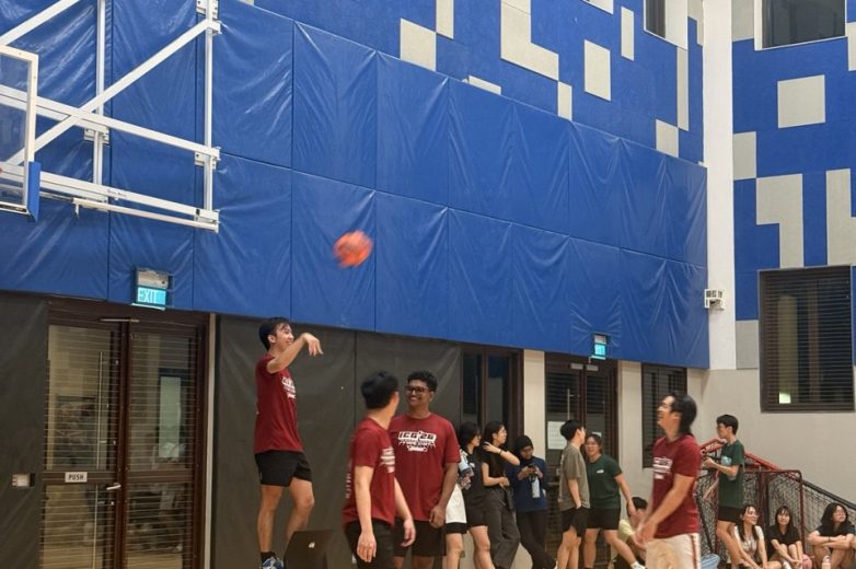 photo_6057441537651577199_y